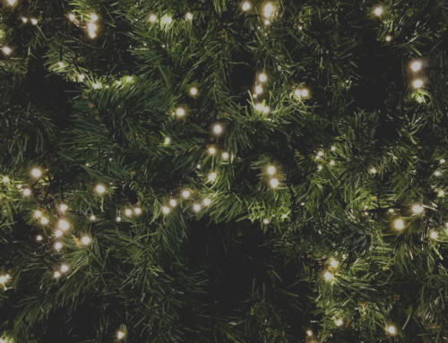 Menu di Natale dell’Hosteria da Bruno